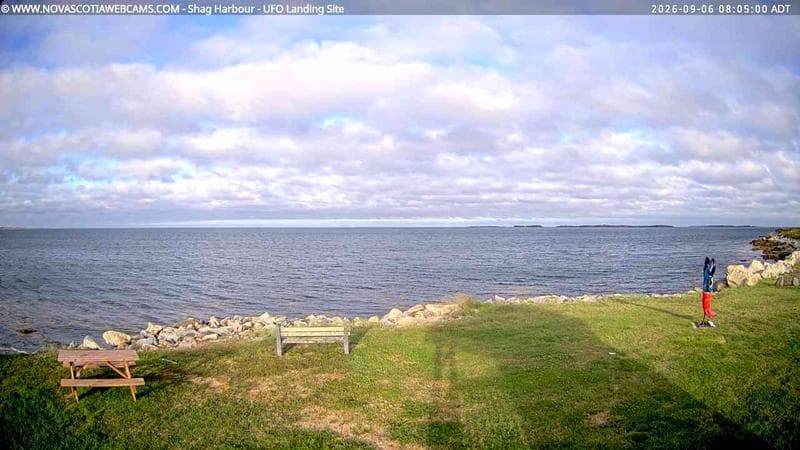Shag Harbour