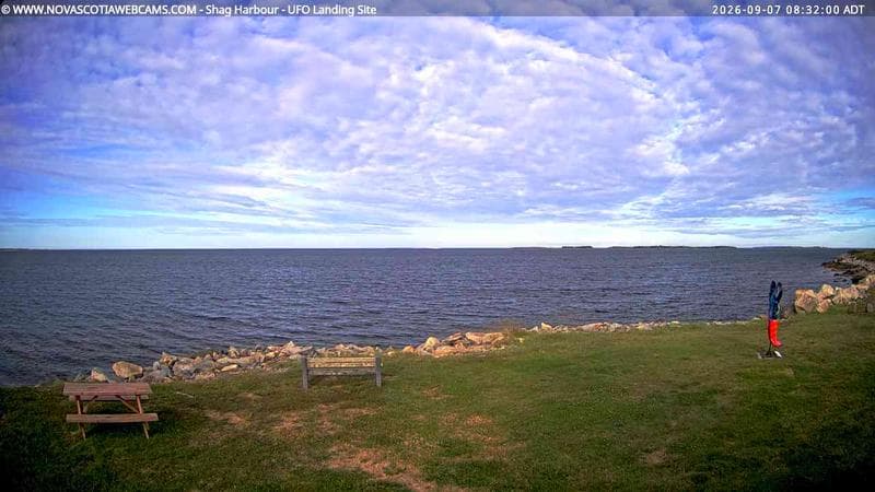Shag Harbour