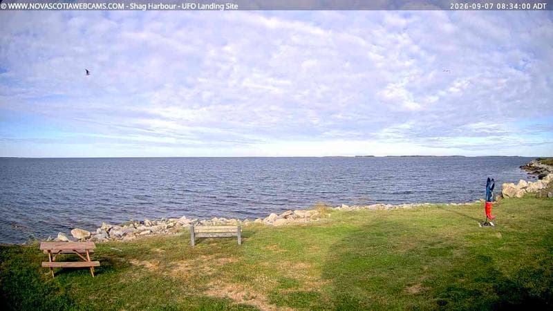 Shag Harbour