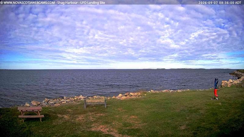 Shag Harbour