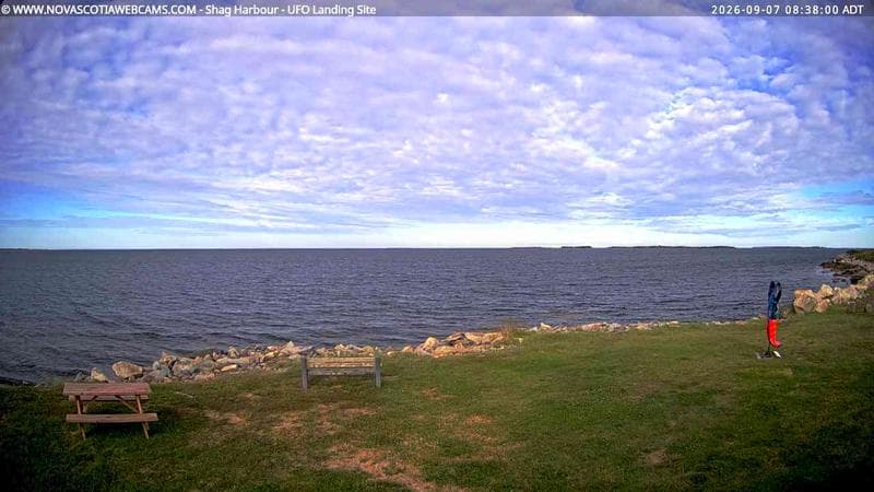Shag Harbour