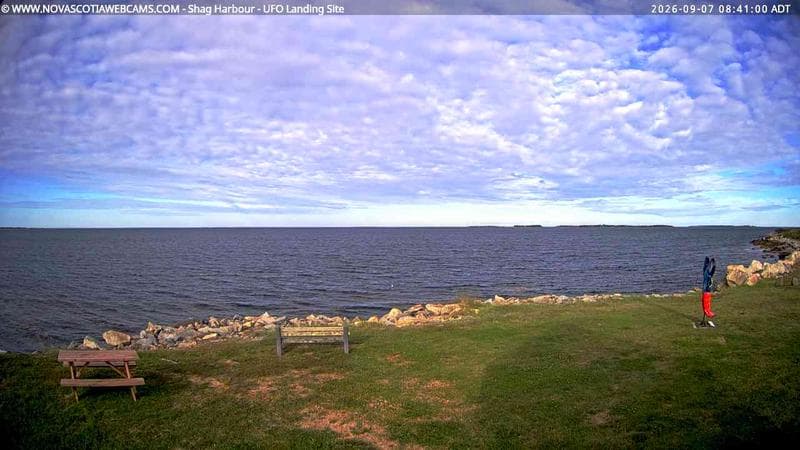 Shag Harbour