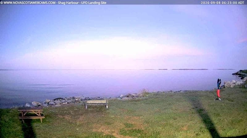 Shag Harbour