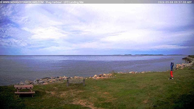 Shag Harbour
