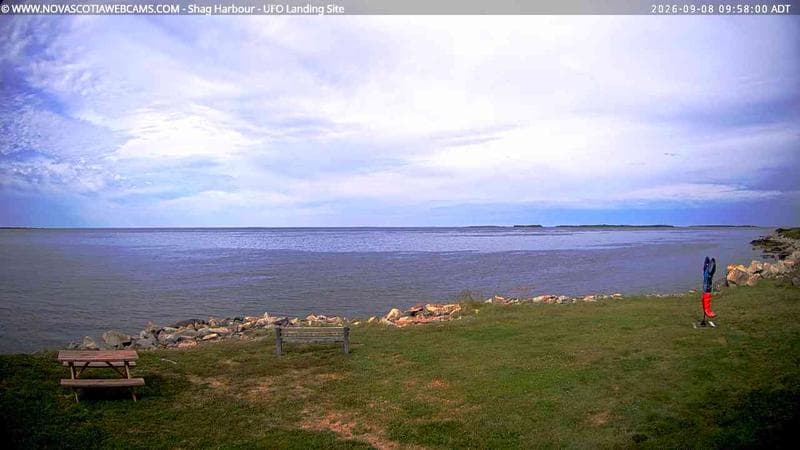 Shag Harbour