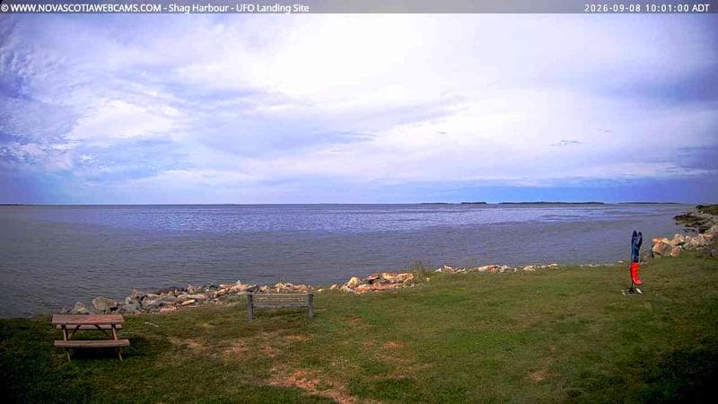 Shag Harbour