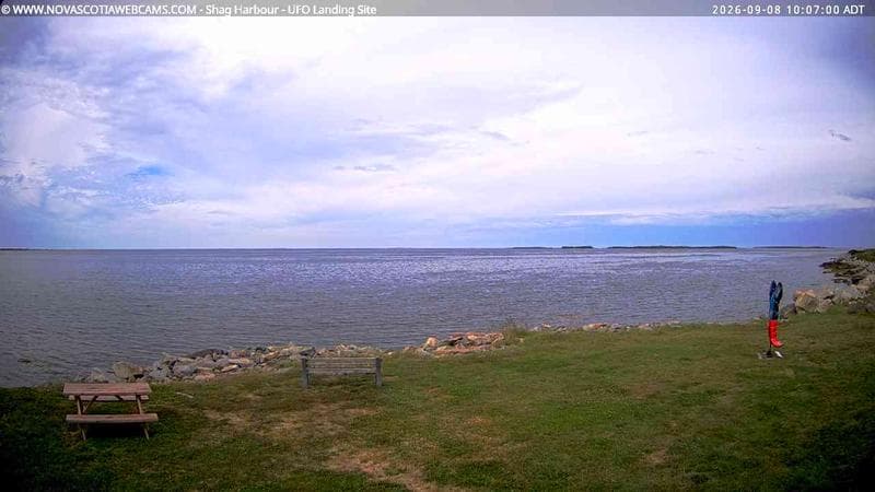 Shag Harbour
