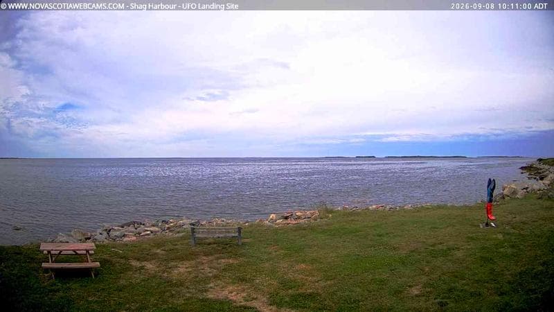 Shag Harbour