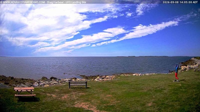 Shag Harbour