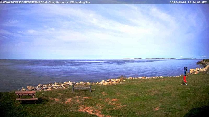 Shag Harbour