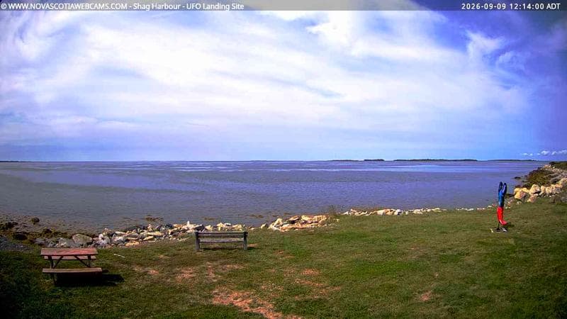 Shag Harbour