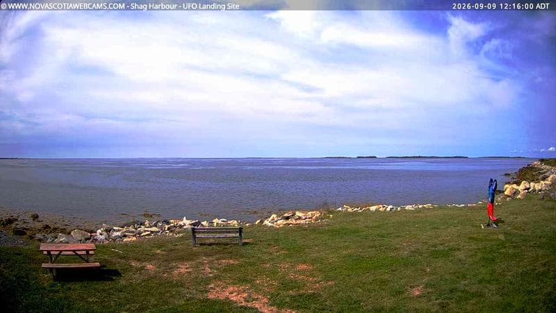 Shag Harbour