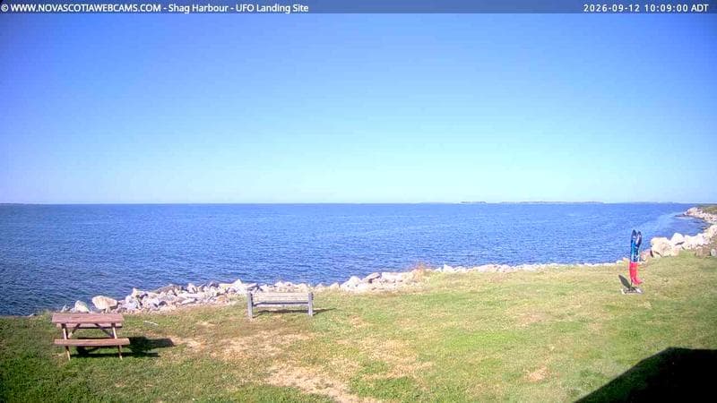 Shag Harbour