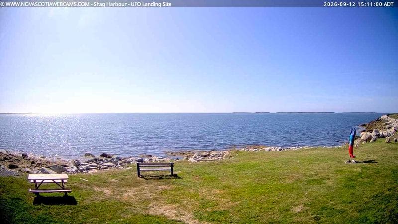 Shag Harbour