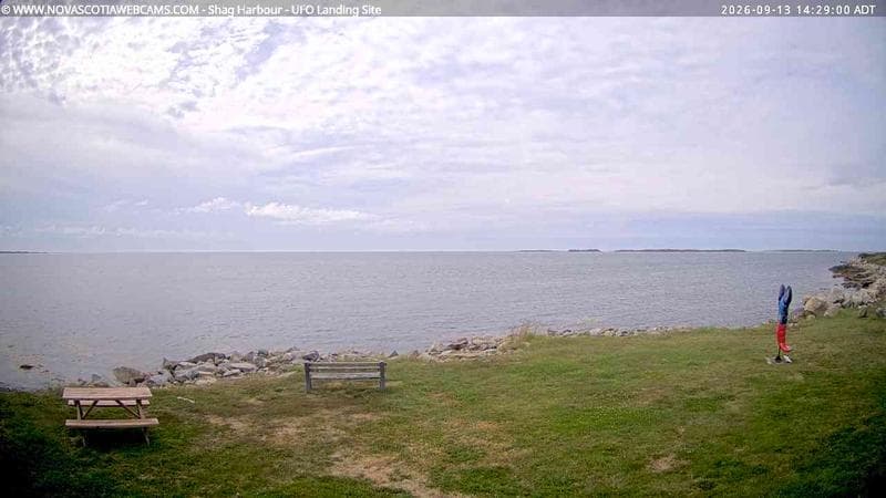 Shag Harbour
