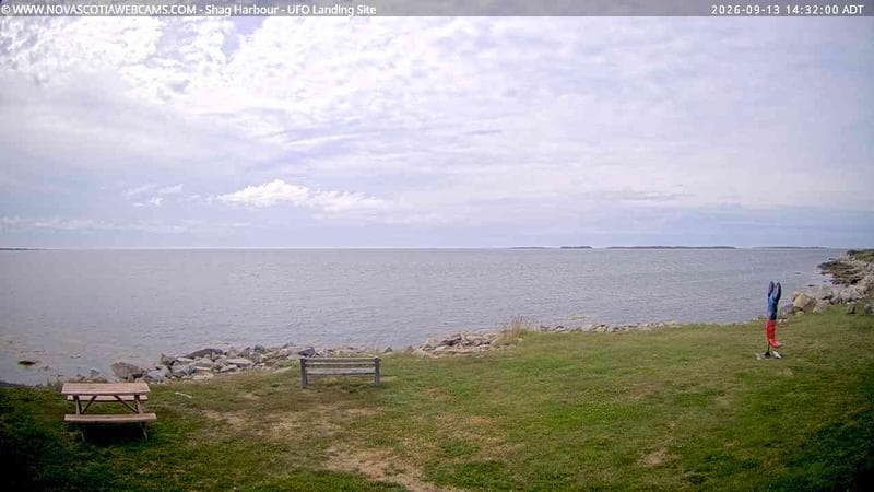 Shag Harbour