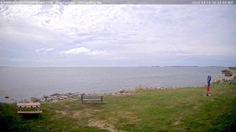 Shag Harbour
