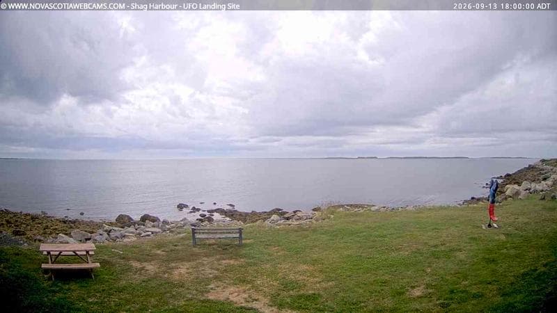 Shag Harbour