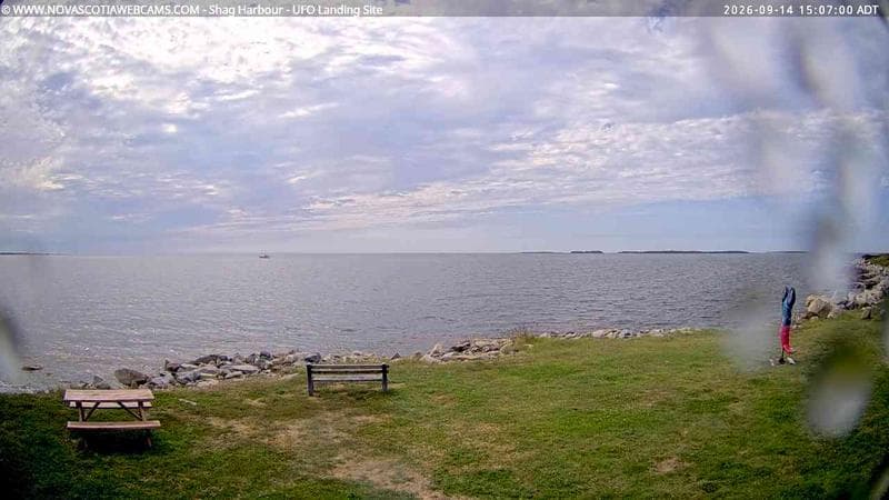Shag Harbour