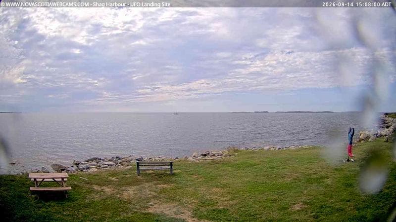 Shag Harbour