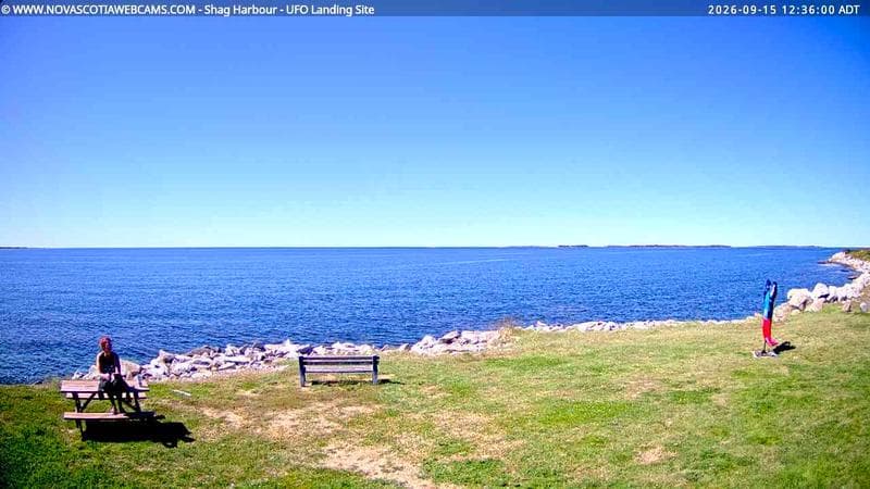 Shag Harbour
