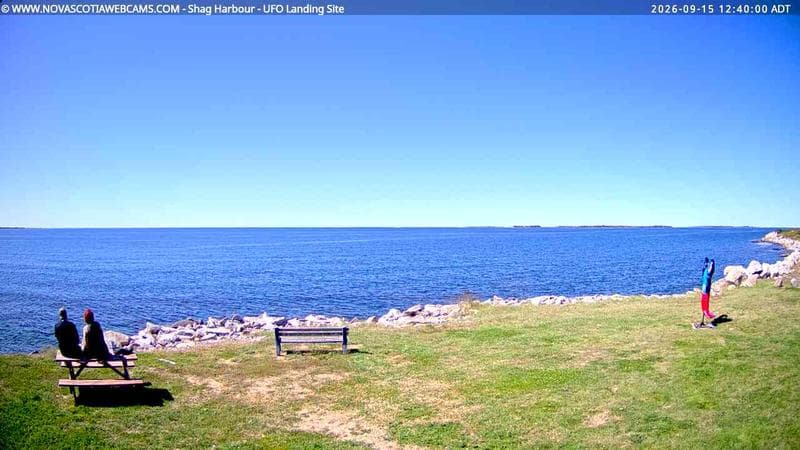 Shag Harbour
