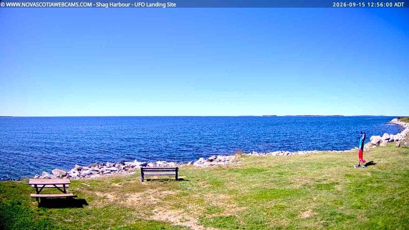 Shag Harbour