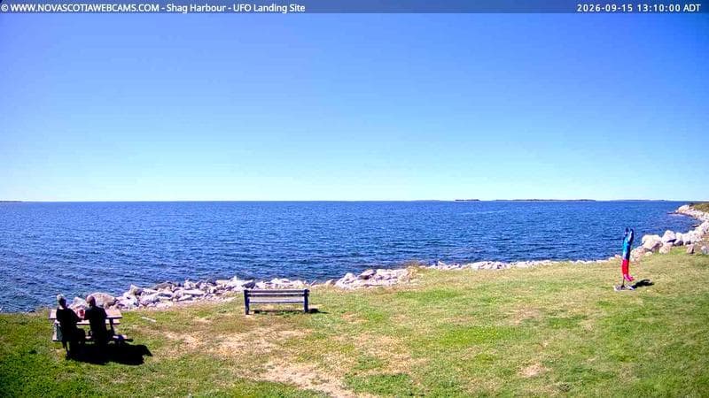 Shag Harbour