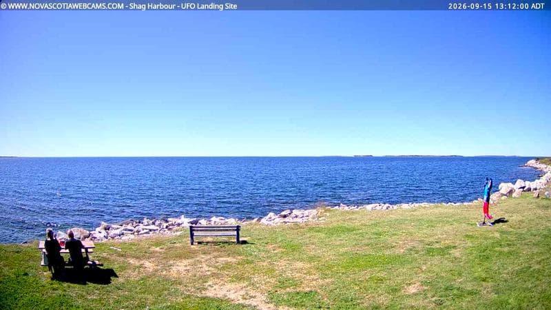 Shag Harbour