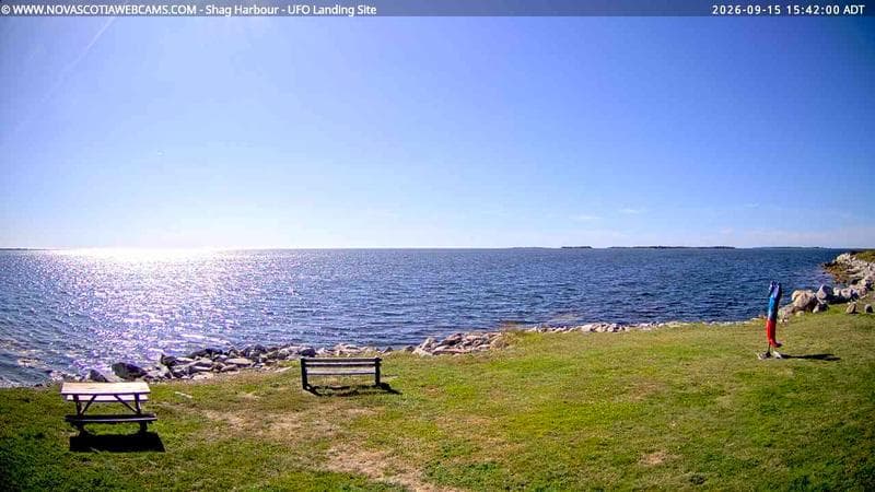 Shag Harbour