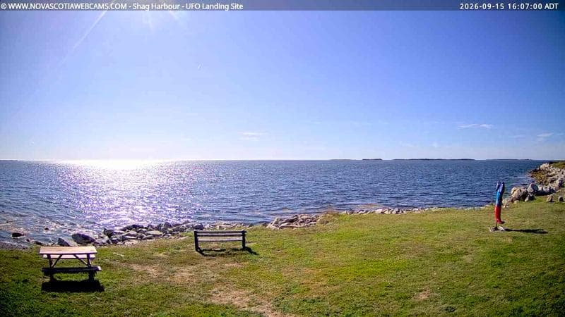 Shag Harbour