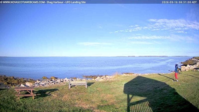 Shag Harbour