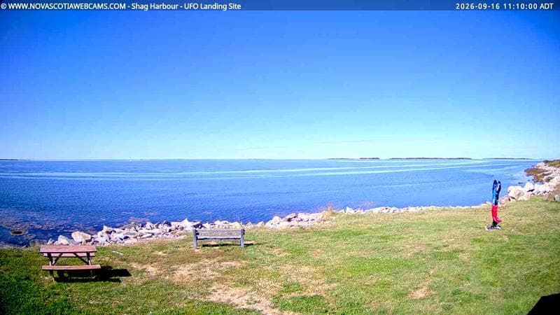 Shag Harbour