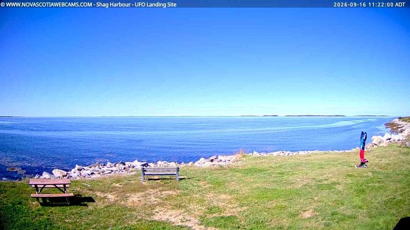 Shag Harbour