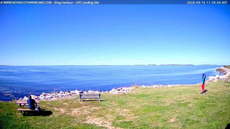 Shag Harbour