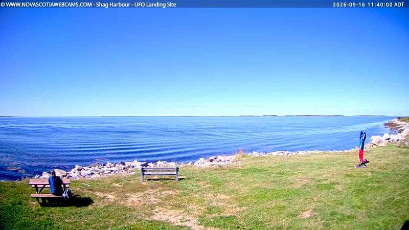 Shag Harbour