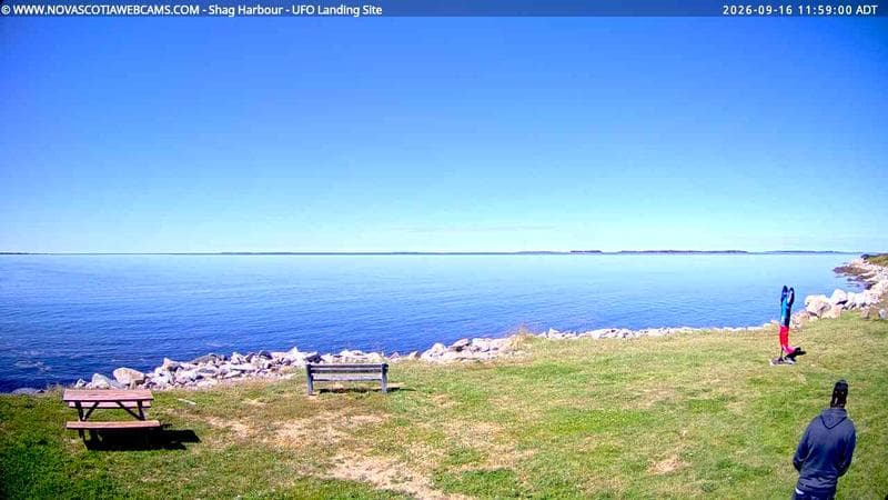 Shag Harbour