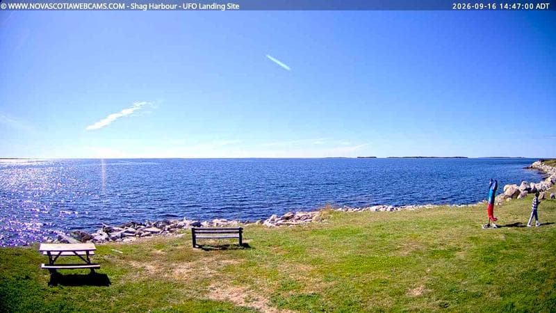 Shag Harbour