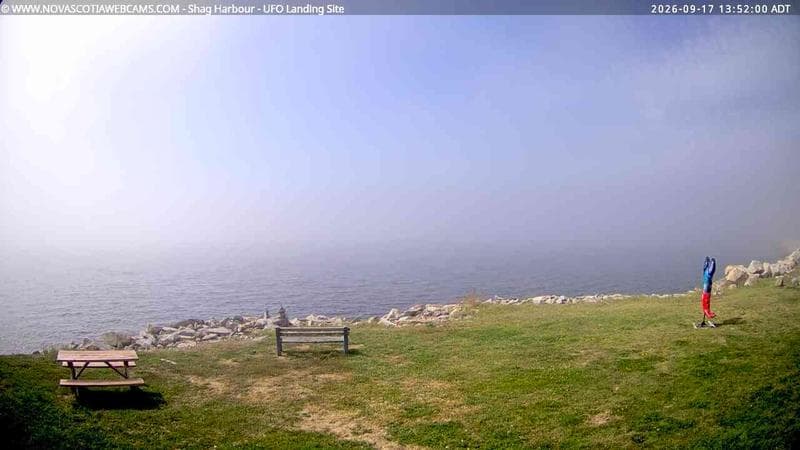 Shag Harbour