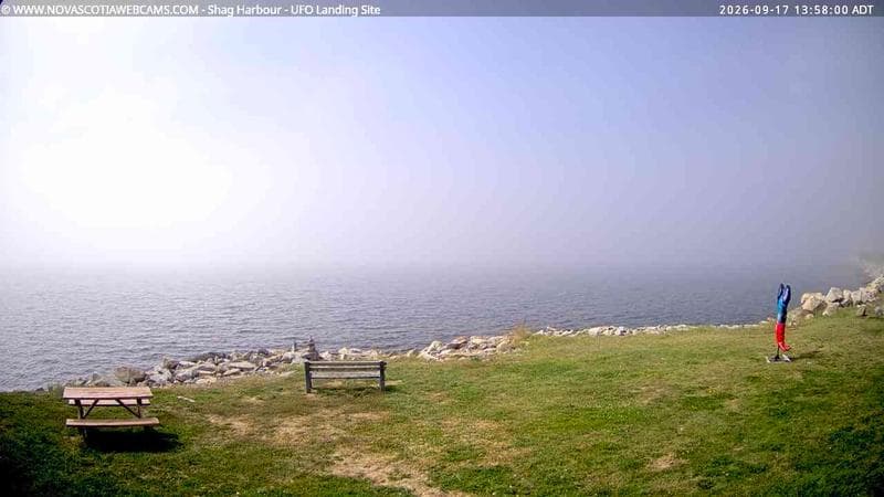 Shag Harbour