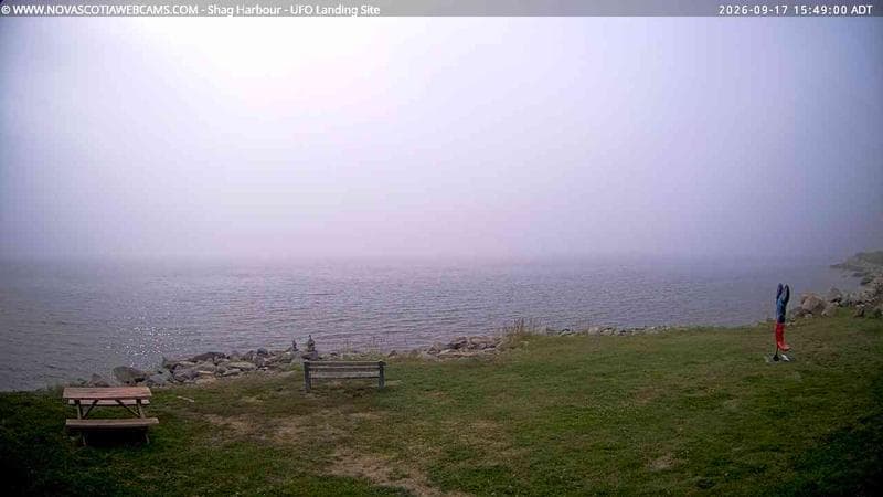 Shag Harbour