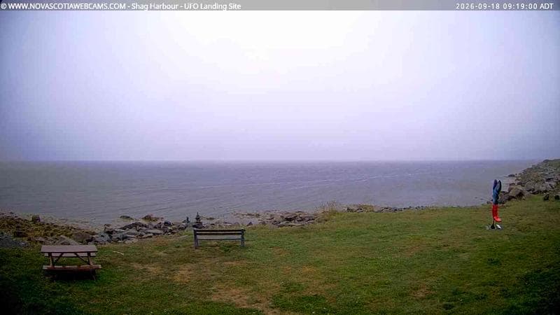 Shag Harbour