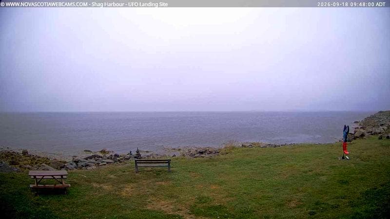 Shag Harbour