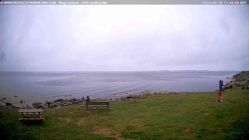 Shag Harbour