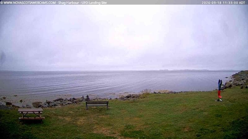 Shag Harbour