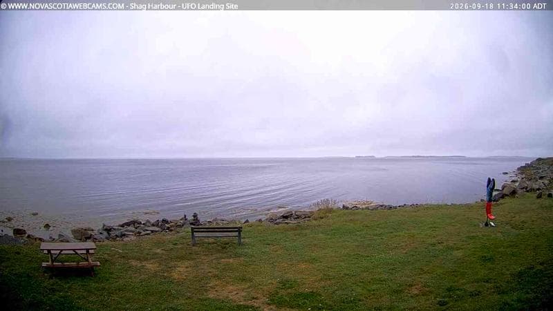 Shag Harbour