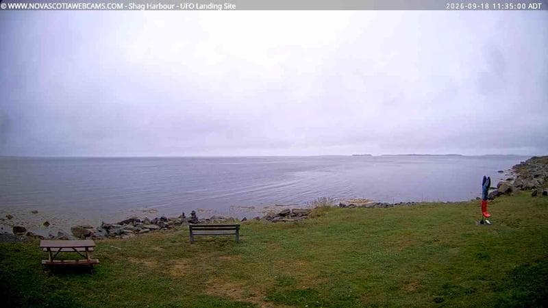 Shag Harbour