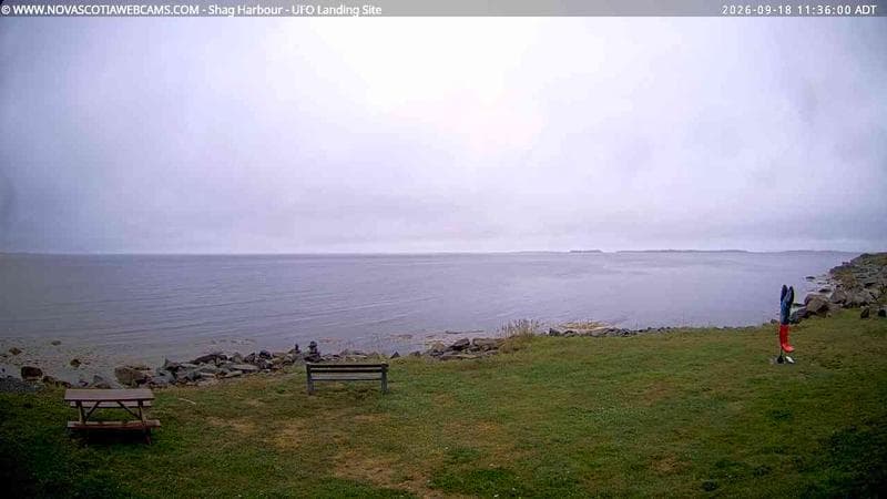 Shag Harbour