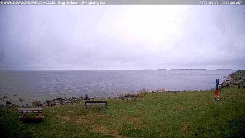 Shag Harbour