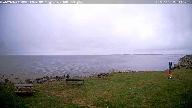 Shag Harbour